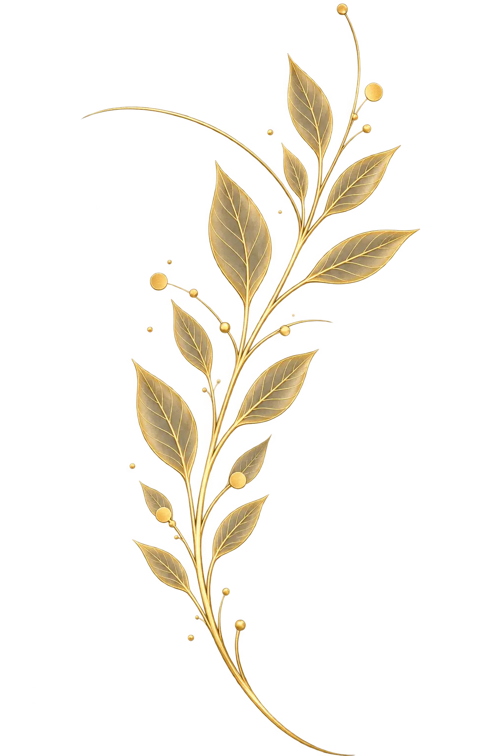 Floral Webseite links