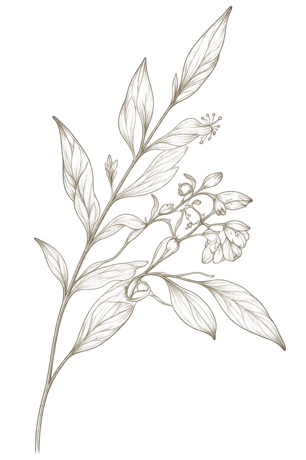 Floral gklein rechts